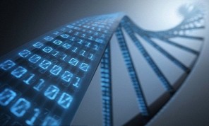 Lưu trữ hình ảnh kỹ thuật số trong ADN