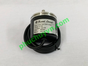 Honest sensor EHG-100-Y8VH-A020
